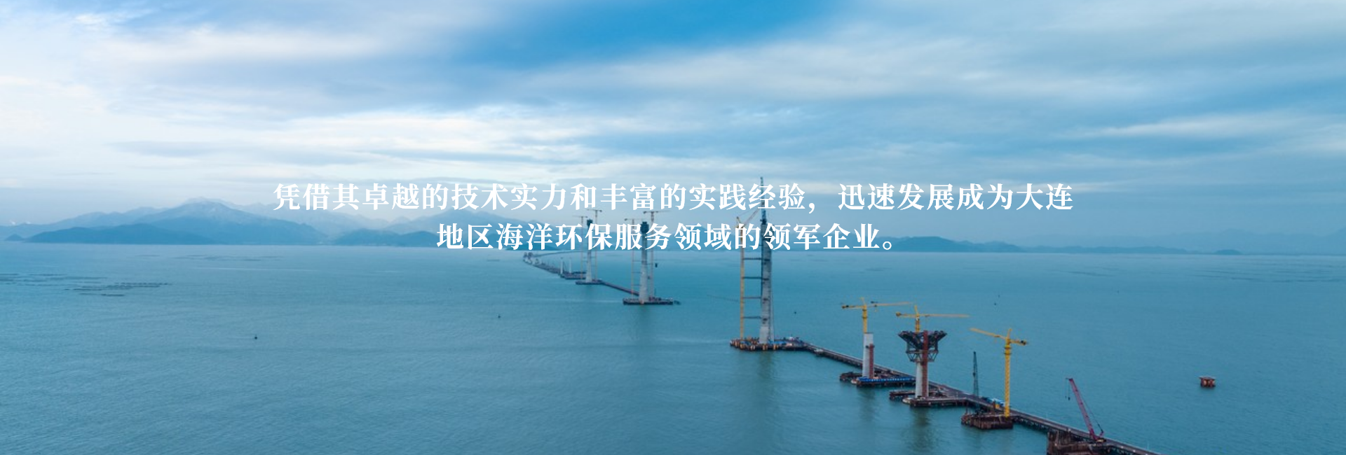 大连盛洋海洋环境科技有限公司